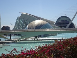 DSC01698.jpg