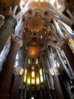 S__28975147.jpg