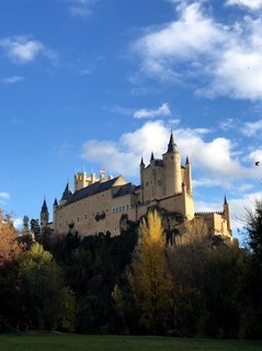 S__9830405.jpg